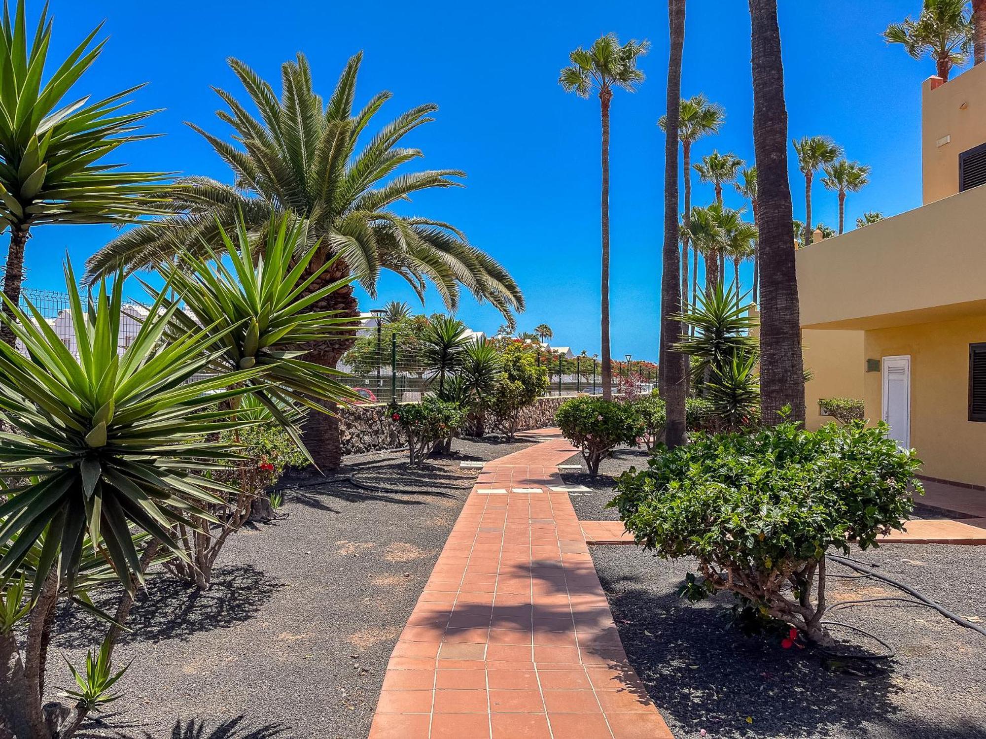 Apartamentos Oasis Royal Corralejo F314 מראה חיצוני תמונה