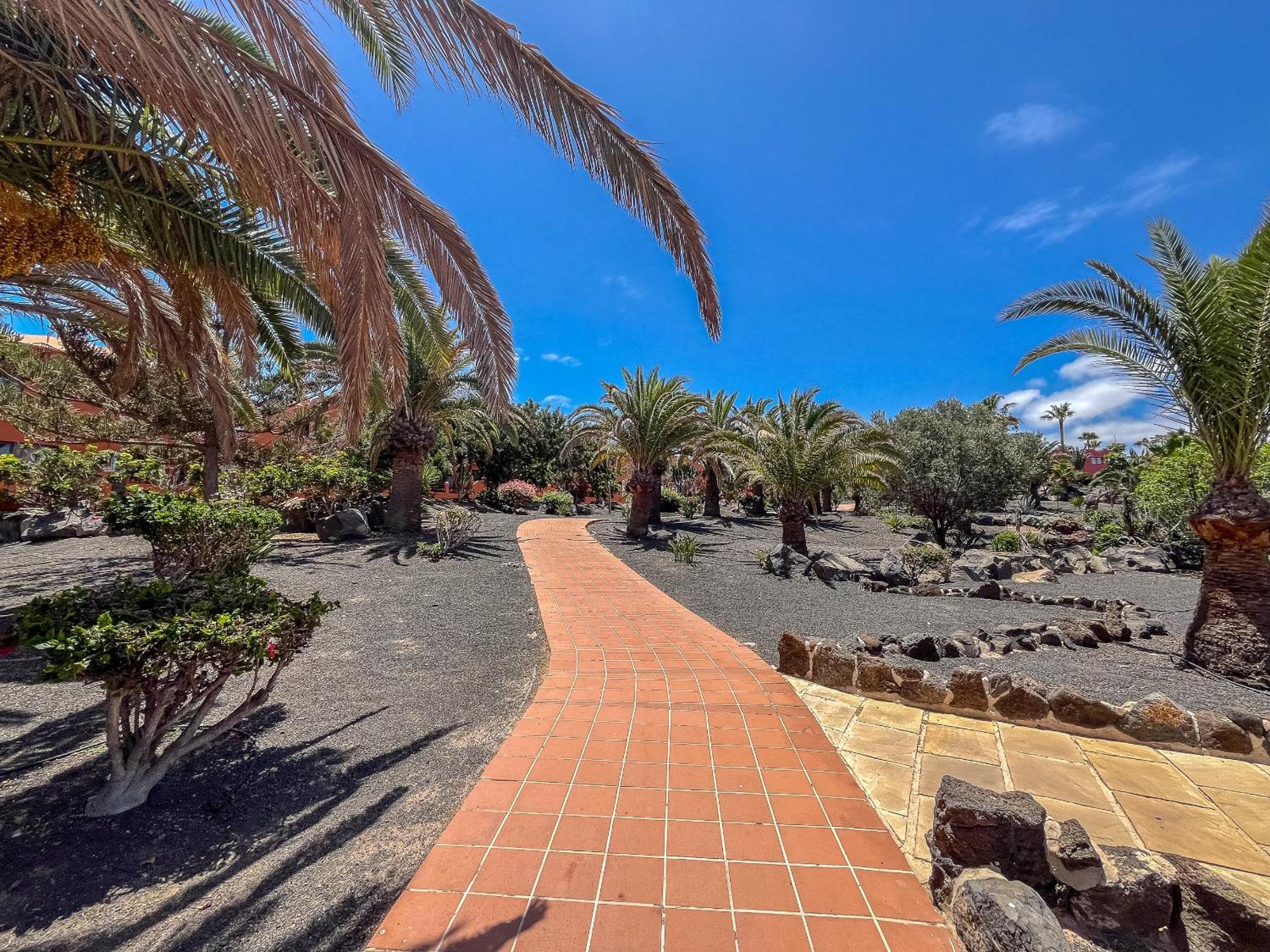 Apartamentos Oasis Royal Corralejo F314 מראה חיצוני תמונה