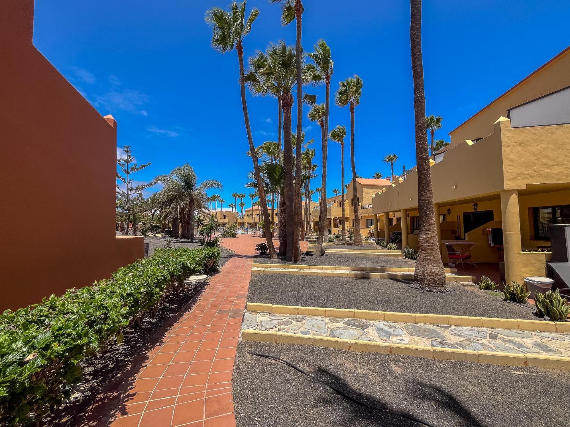 Apartamentos Oasis Royal Corralejo F314 מראה חיצוני תמונה
