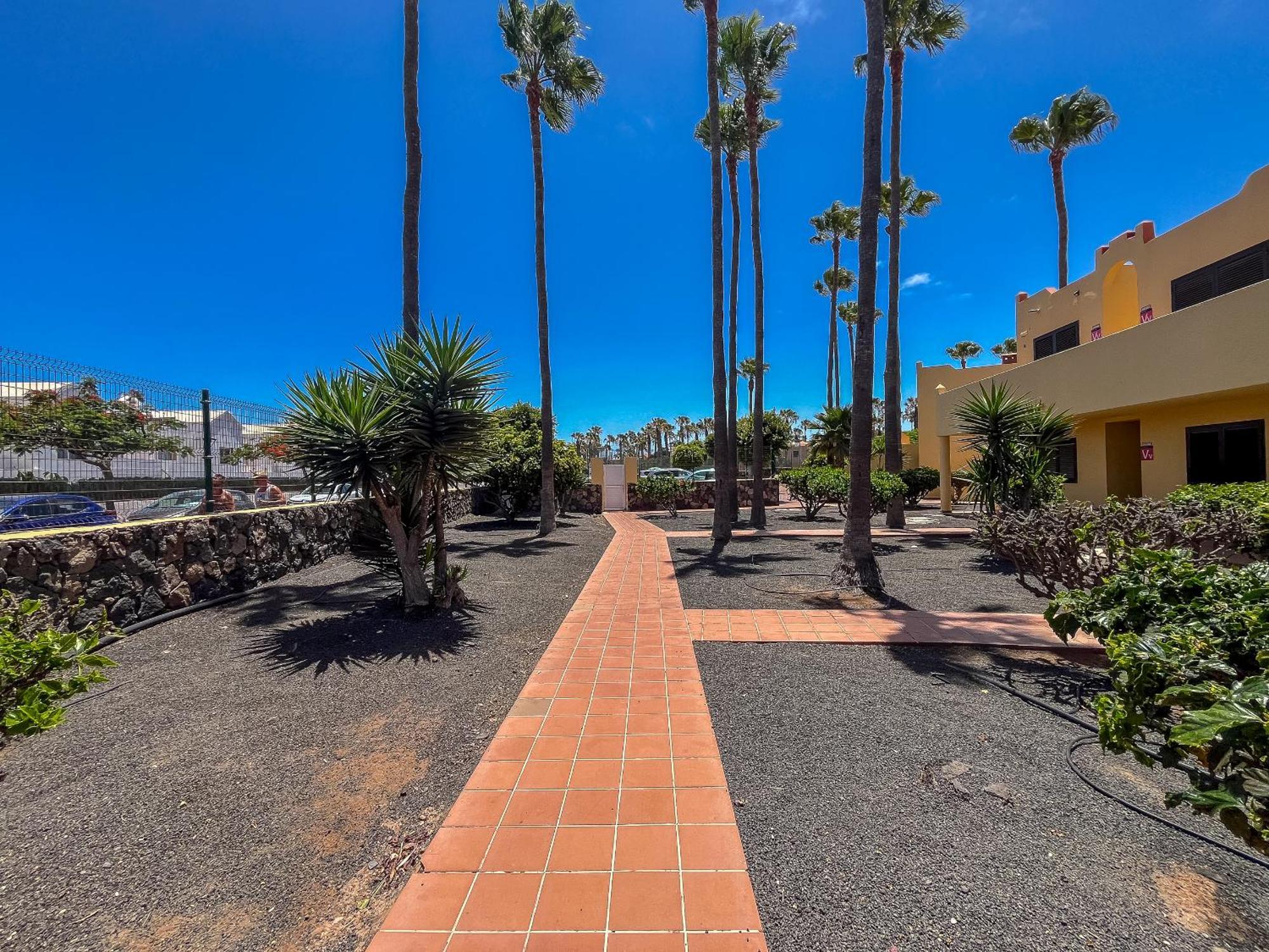 Apartamentos Oasis Royal Corralejo F314 מראה חיצוני תמונה