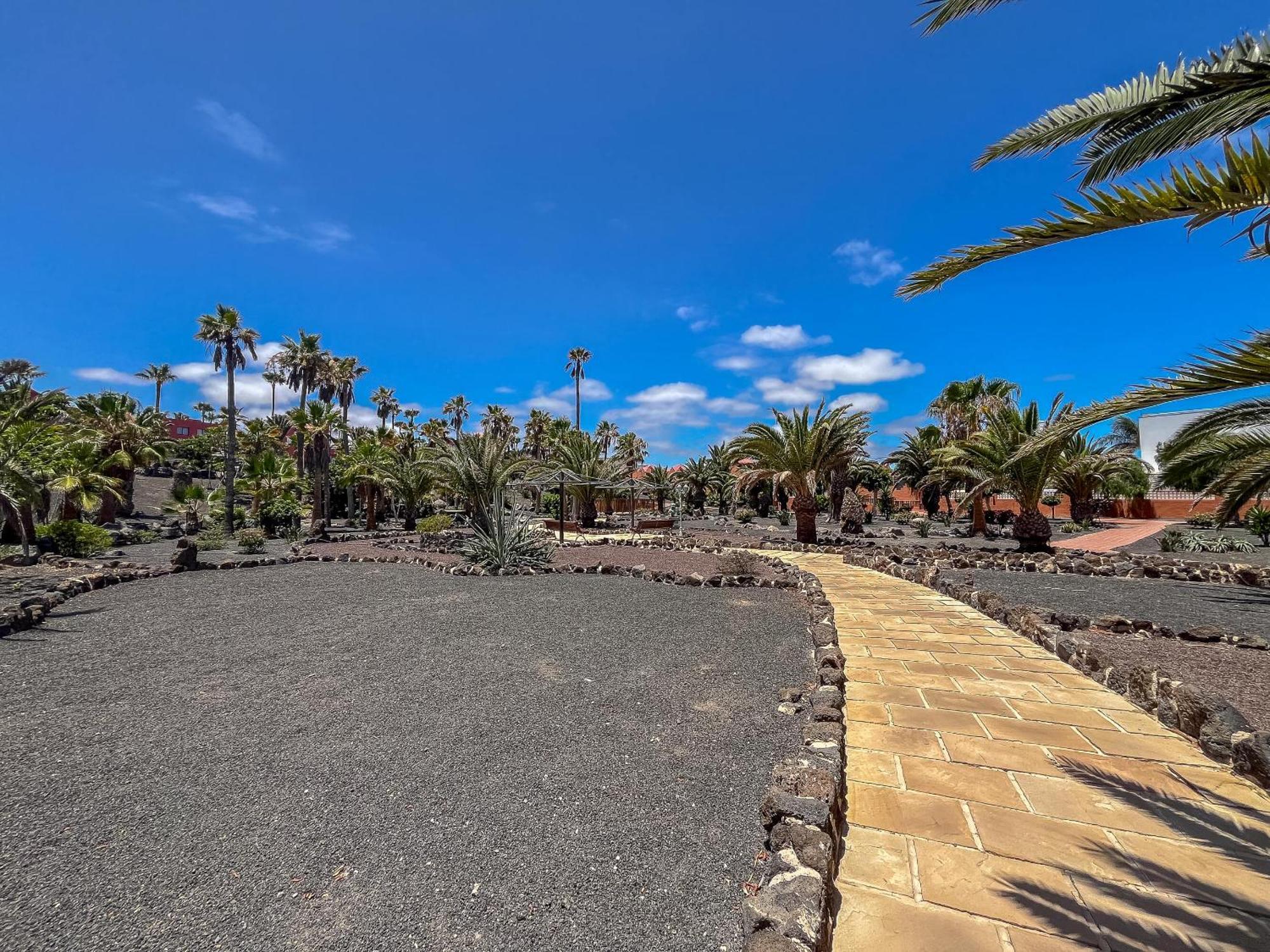 Apartamentos Oasis Royal Corralejo F314 מראה חיצוני תמונה